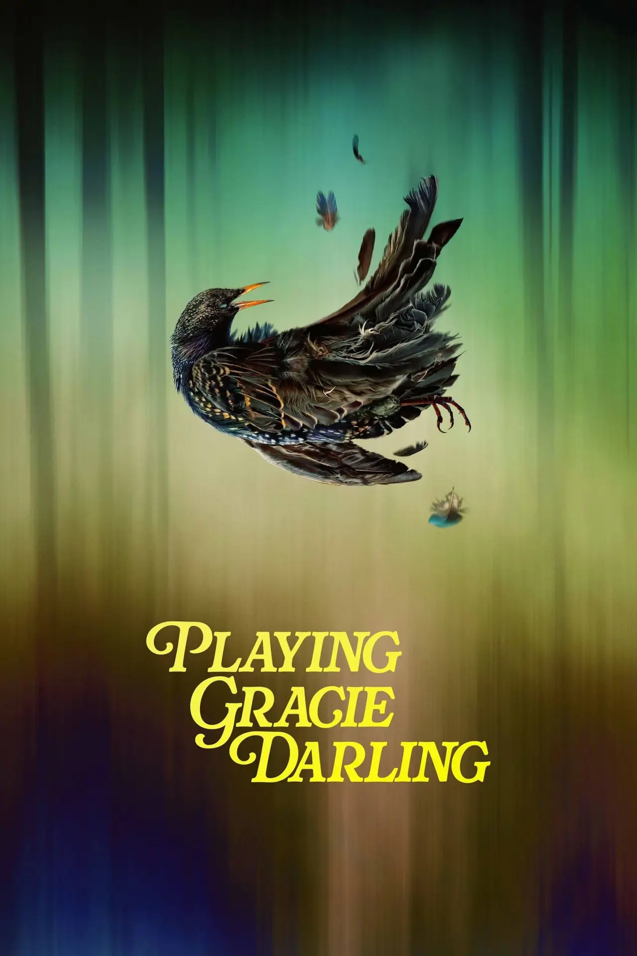 Plakat serialu "Playing Gracie Darling"