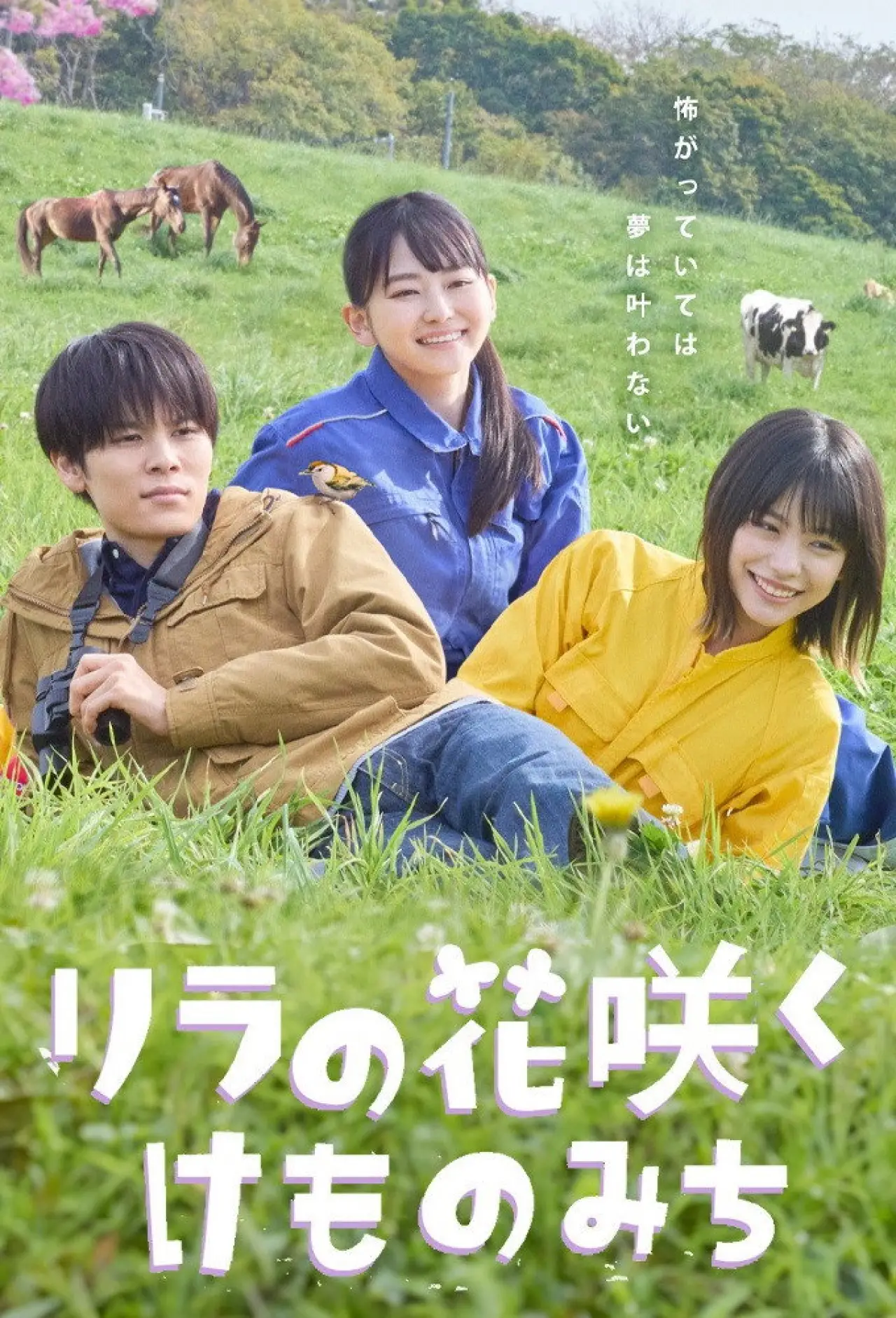 Plakat serialu "リラの花咲くけものみち"
