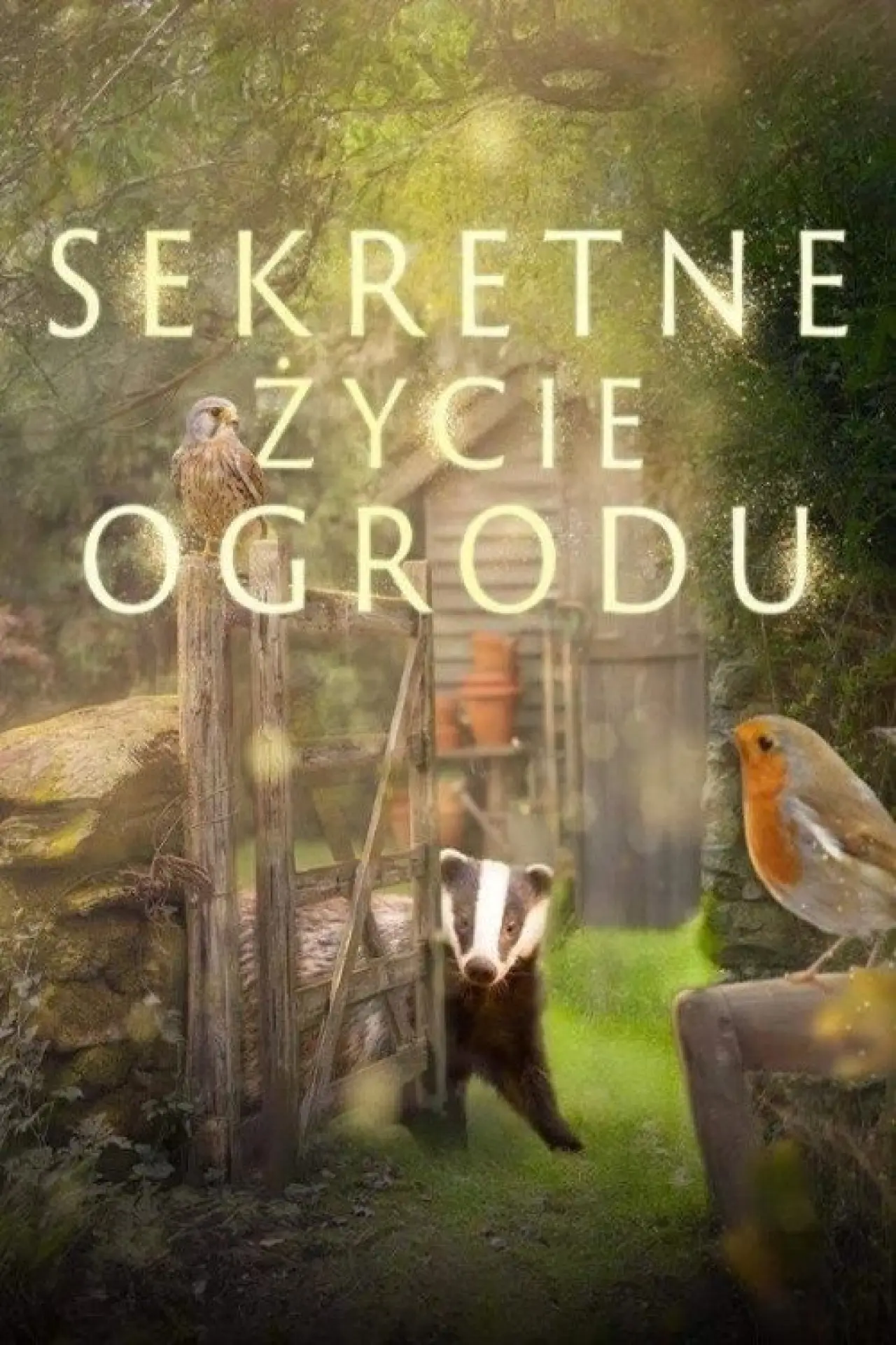 Plakat serialu "Sekretne życie ogrodu"