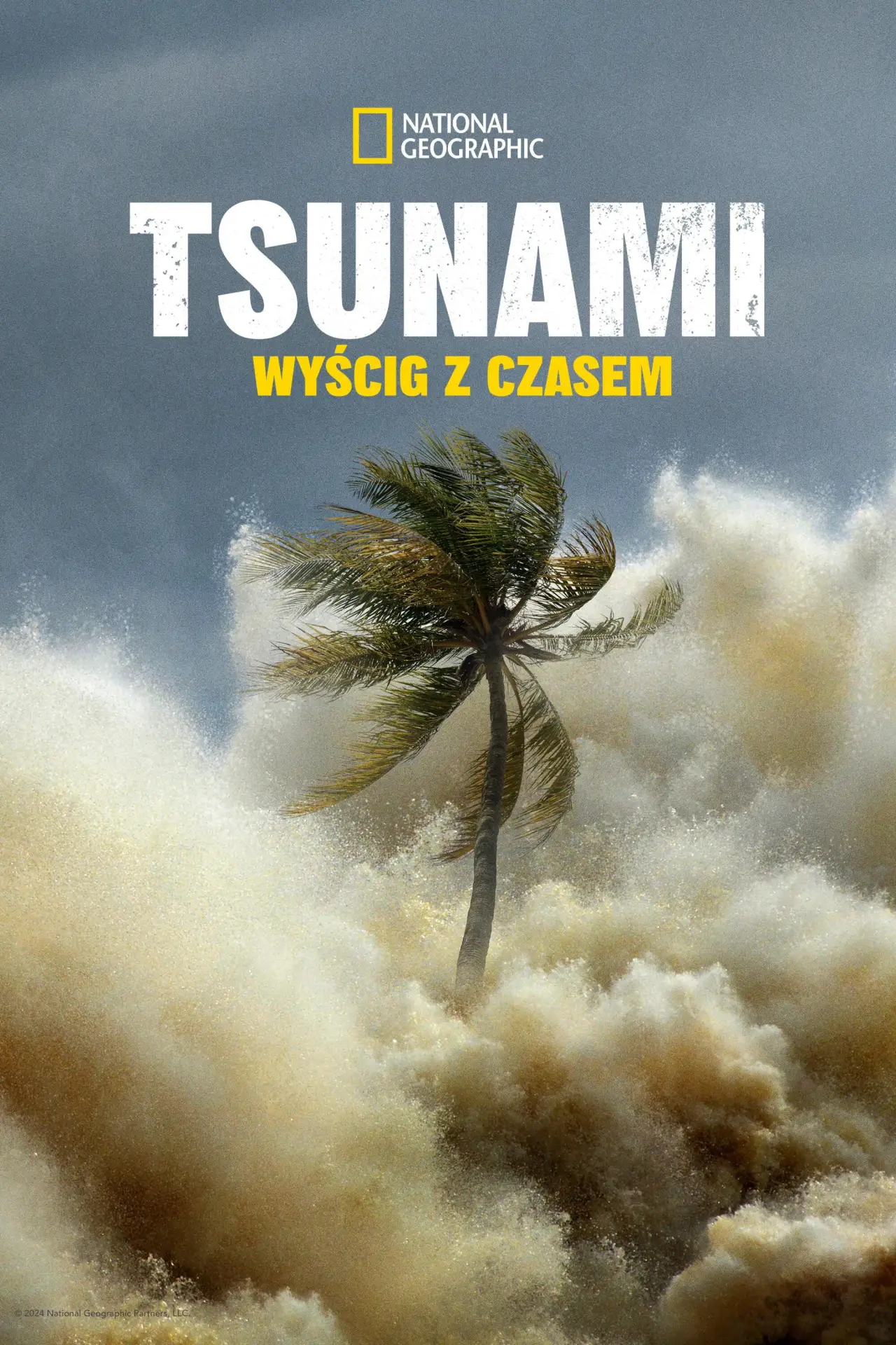 Plakat serialu "Tsunami: Wyścig z czasem"