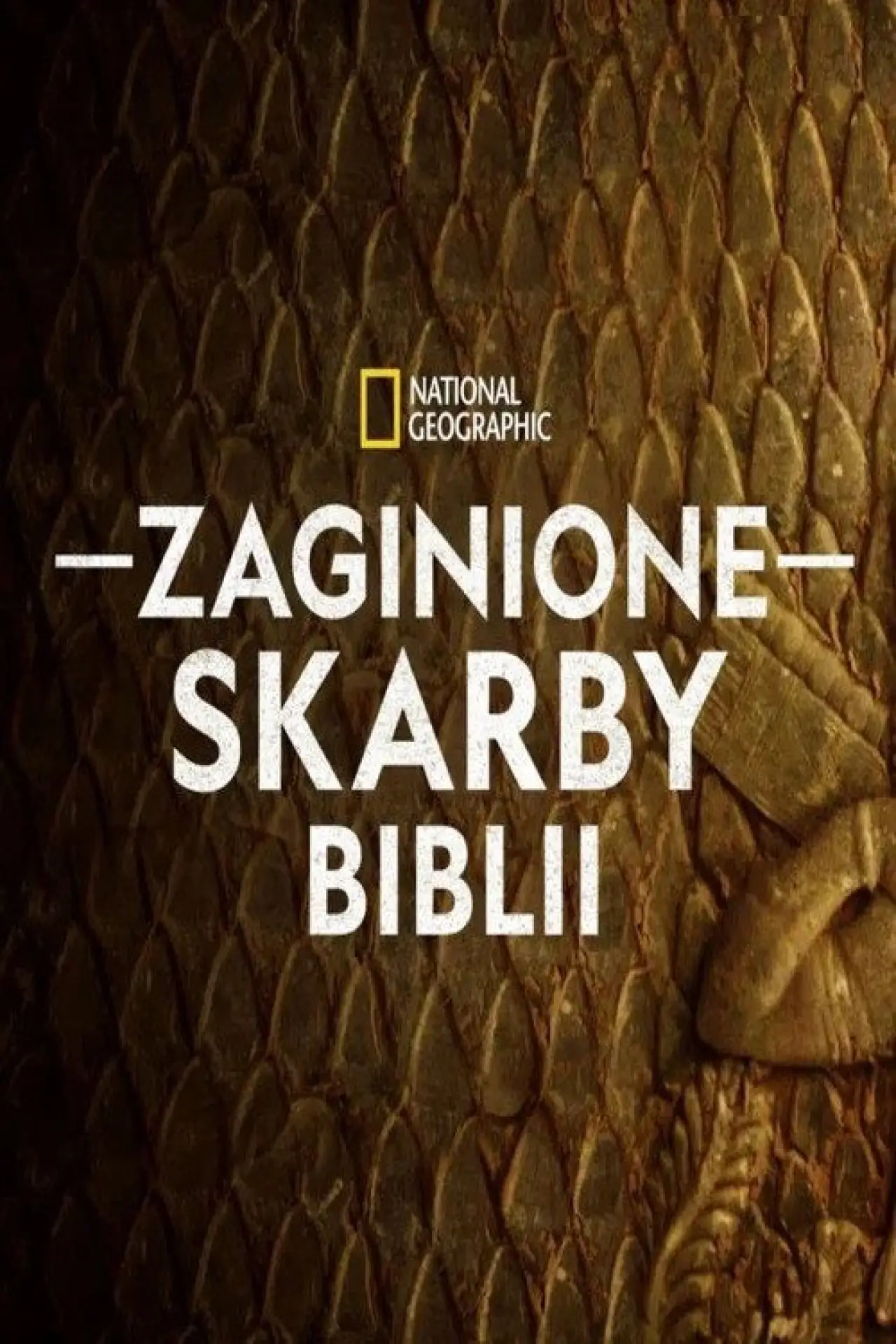 Plakat serialu "Zaginione skarby Biblii"