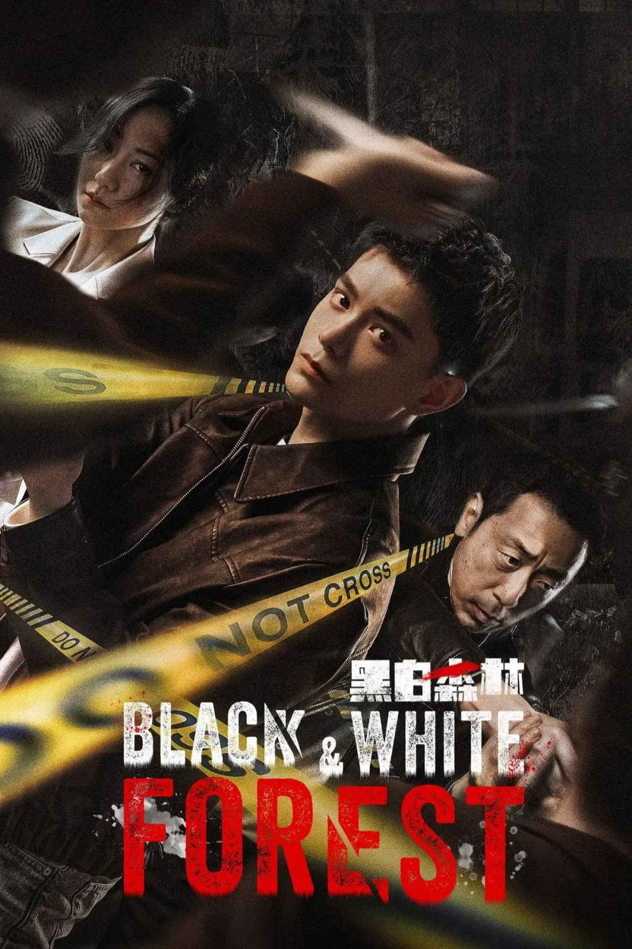 Plakat serialu "黑白森林"