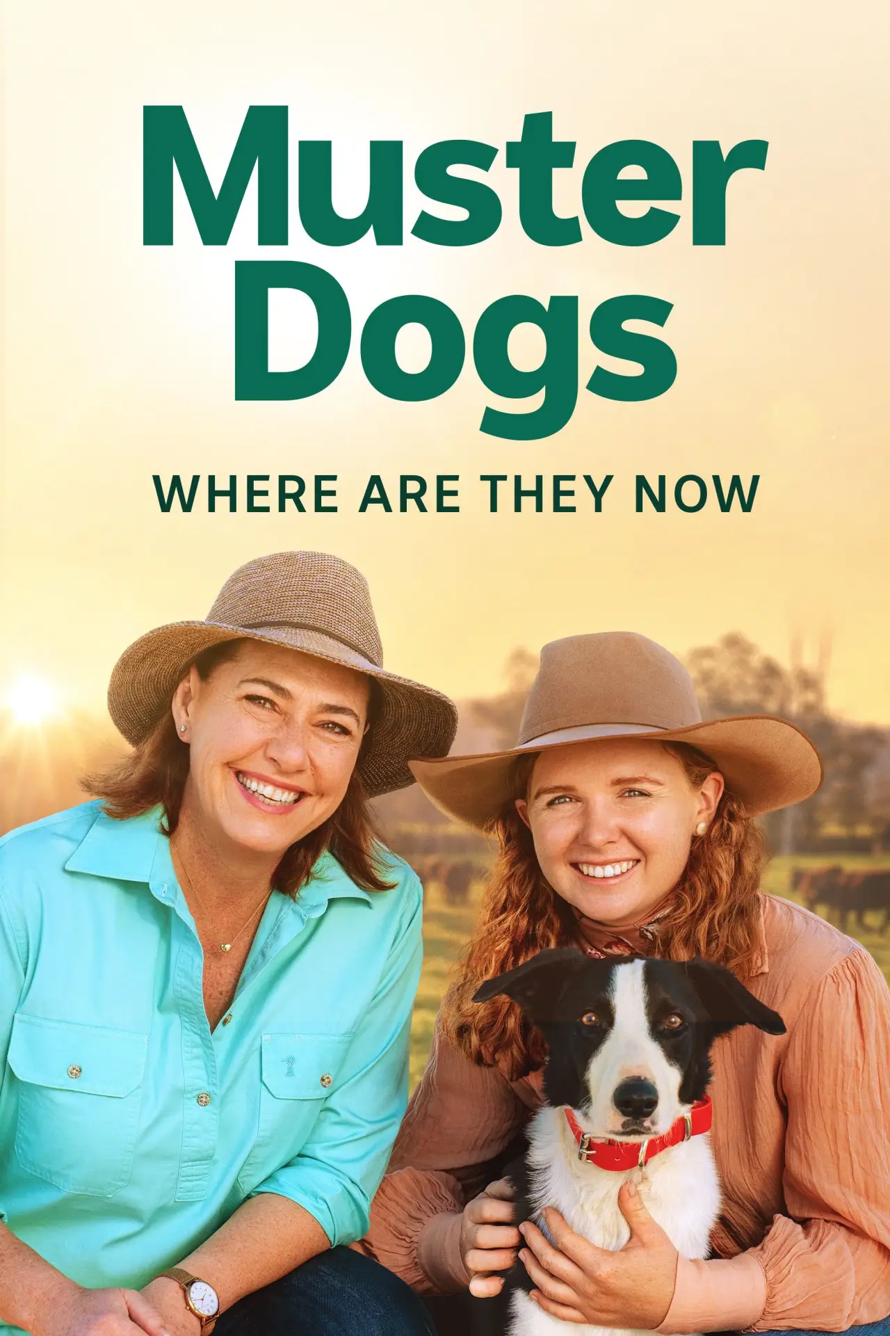 Plakat serialu "Muster Dogs: Where Are They Now"