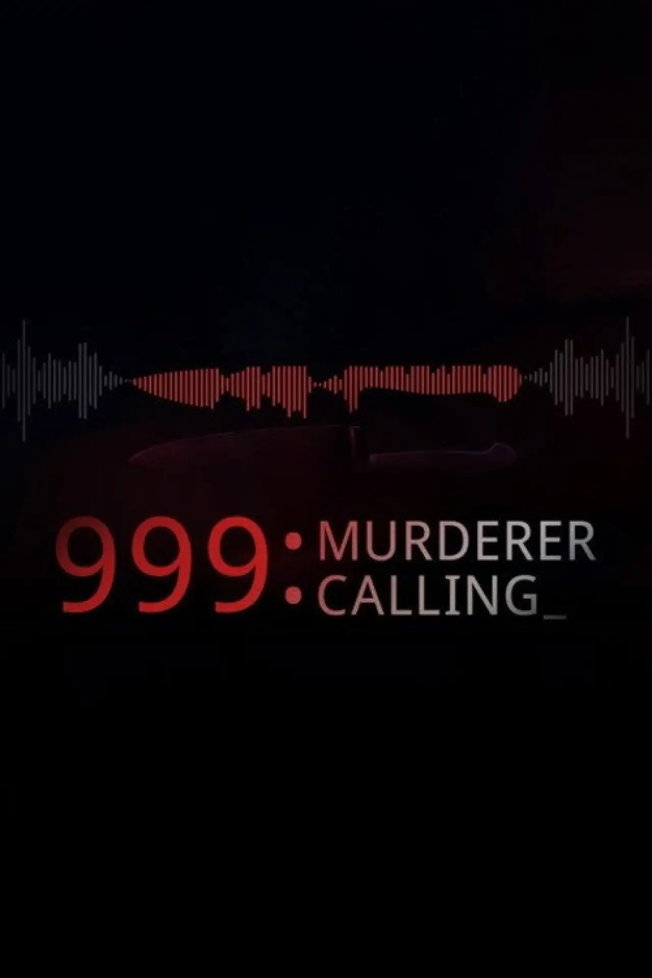 Plakat serialu "Zabójca na linii 999"