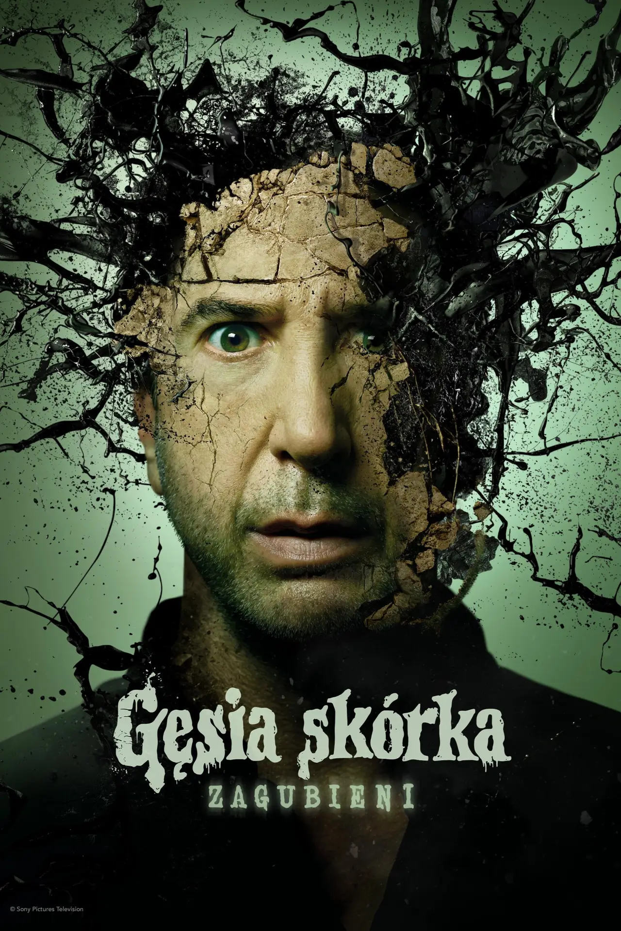 Постер к сериалу "Gęsia skórka: Zagubieni"