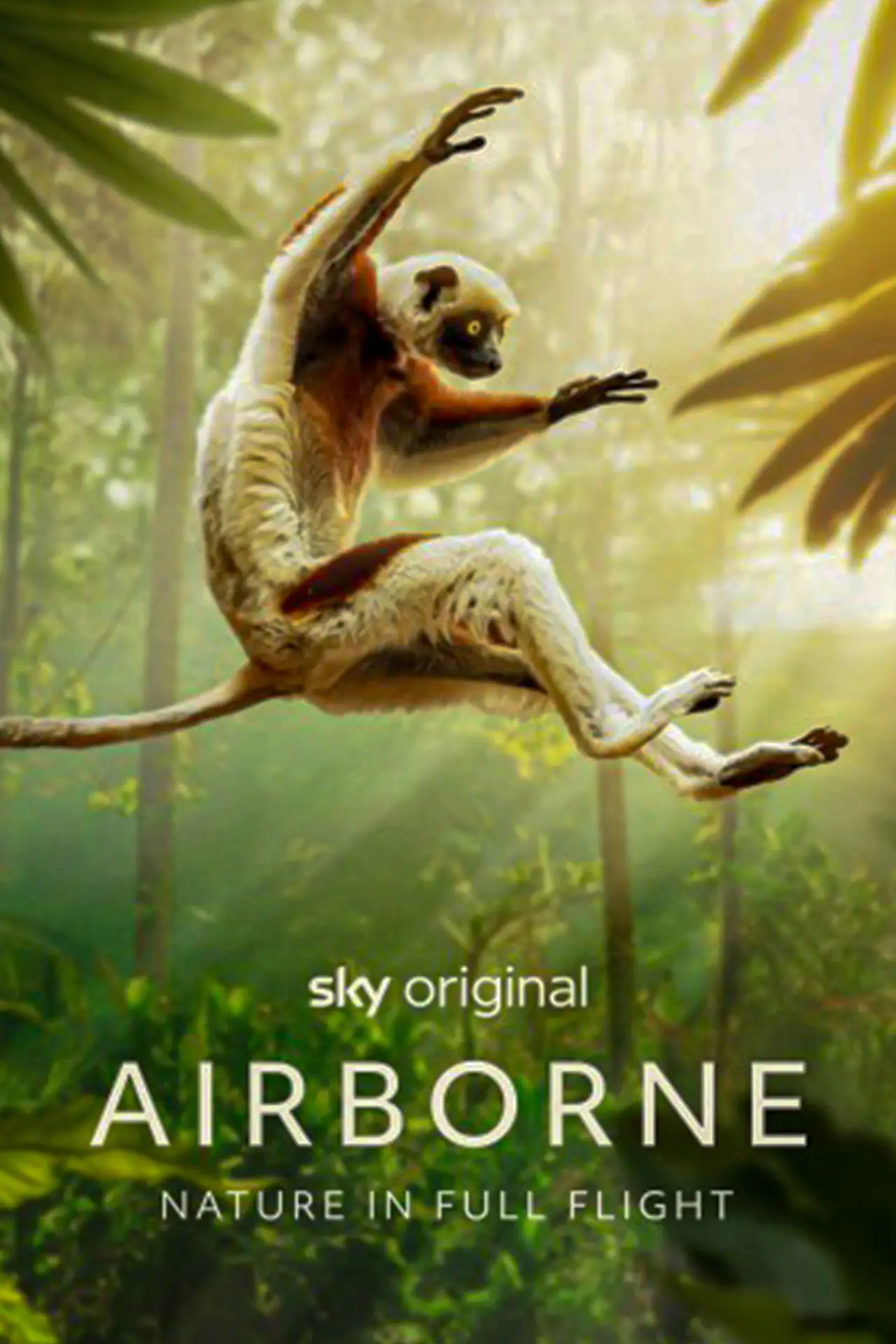 Plakat serialu "Airborne"