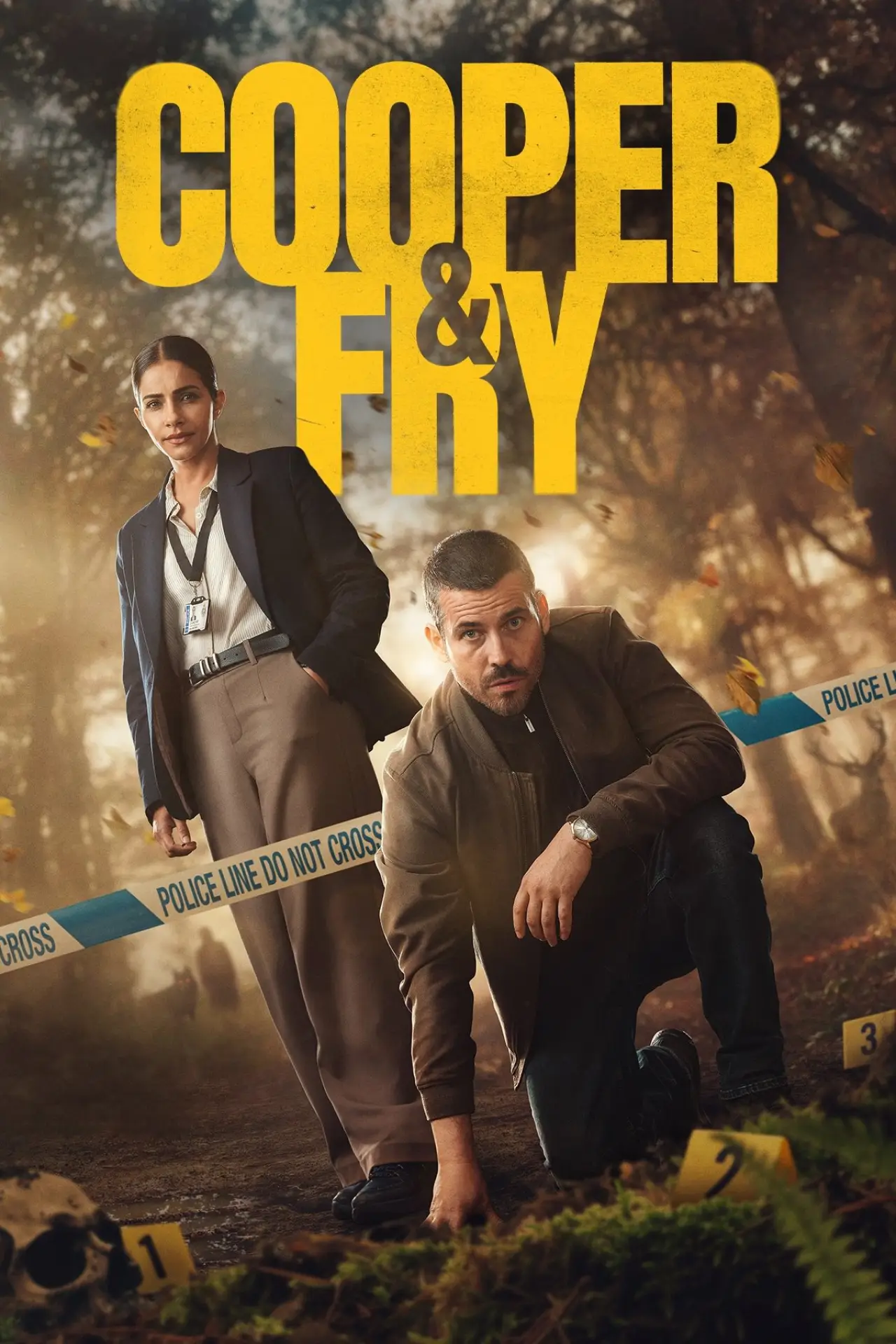 Постер к сериалу "Cooper & Fry"