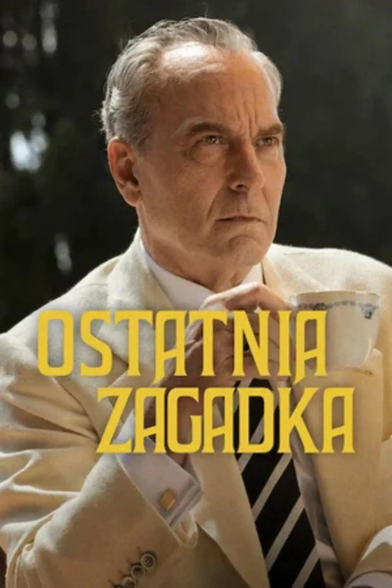 Plakat serialu "Ostatnia zagadka"