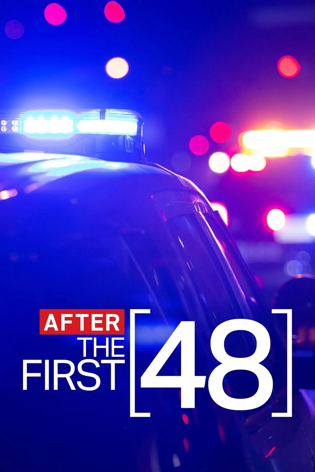Plakat serialu "After the First 48"