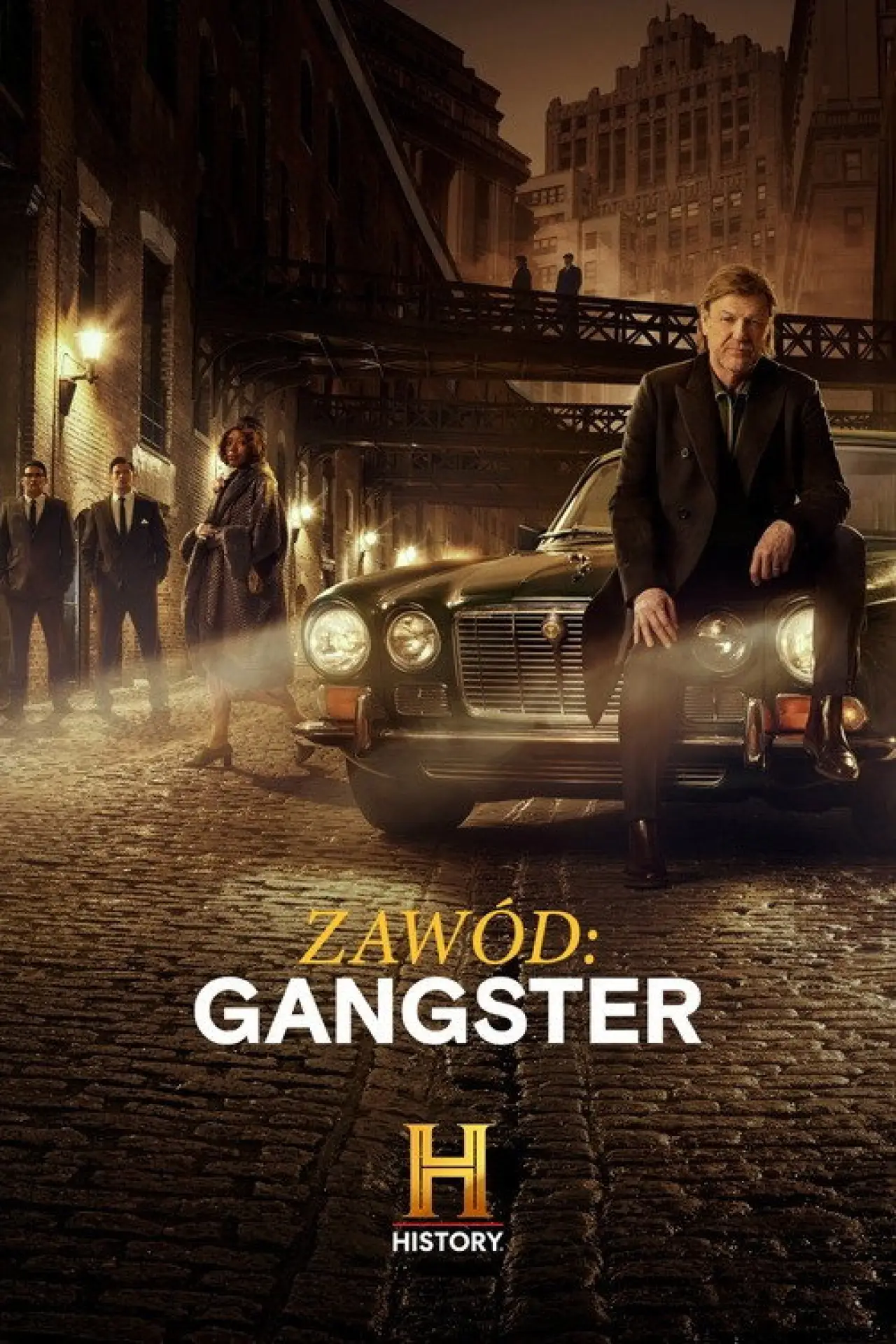 Plakat serialu "Zawód: gangster"