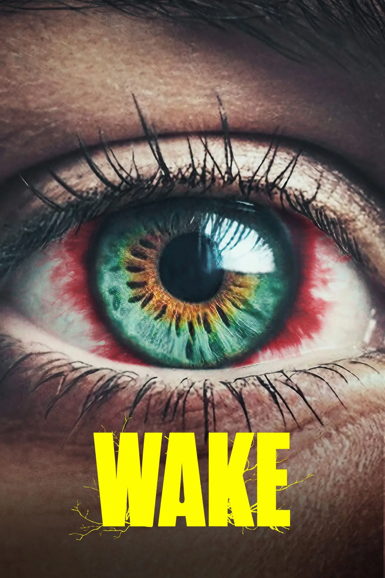 Plakat serialu "Vaka"