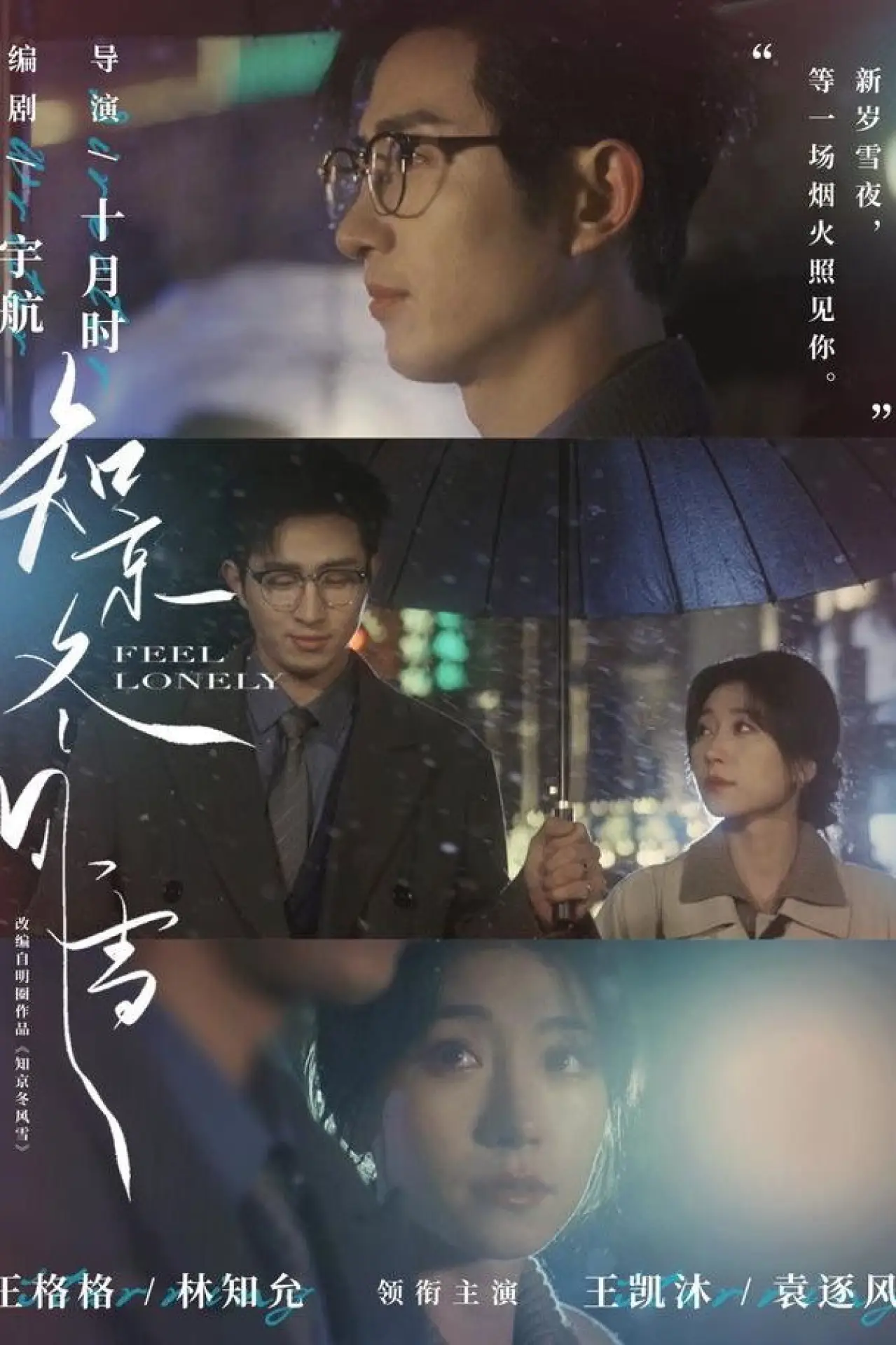Plakat serialu "知京冬风雪"