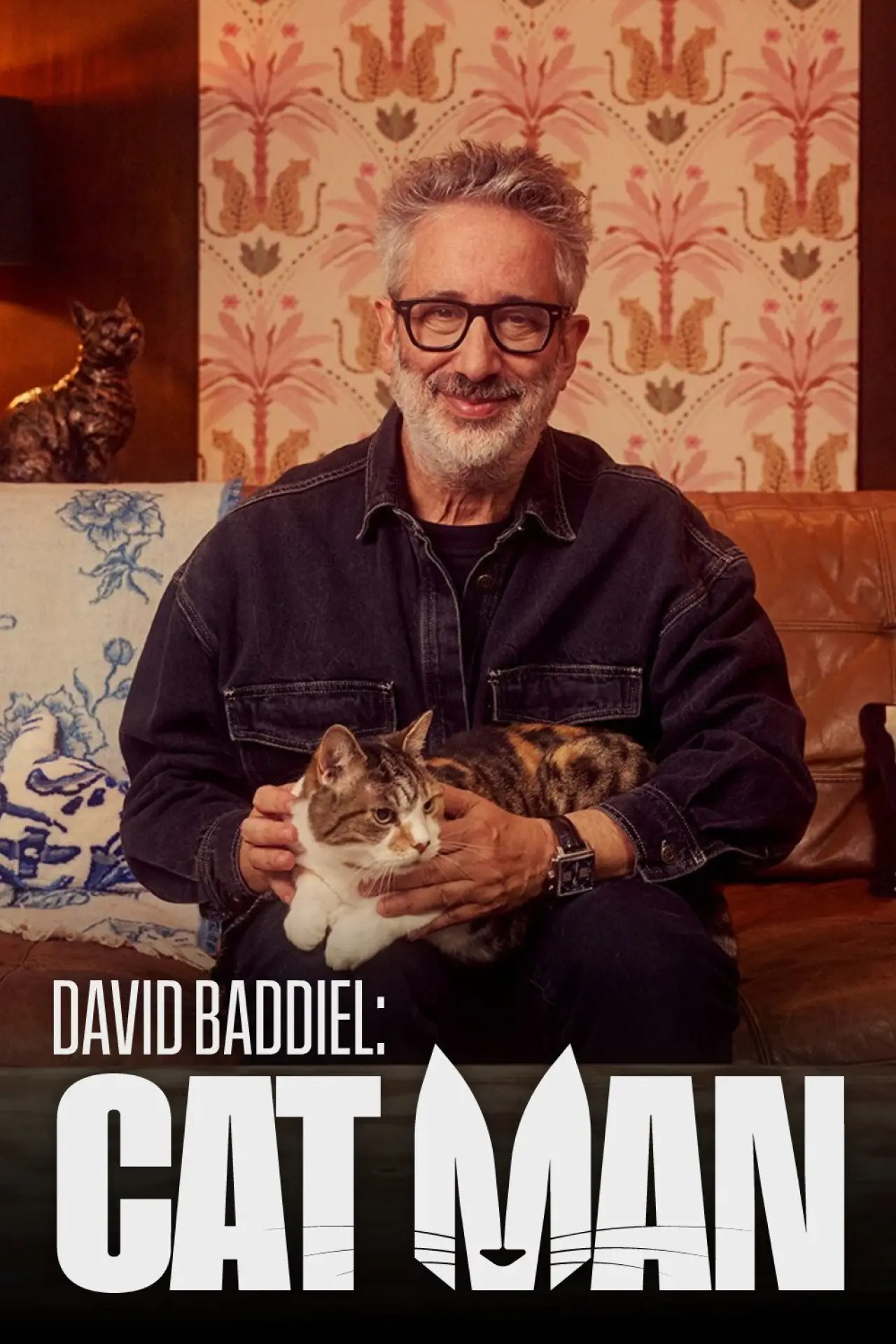 Plakat serialu "David Baddiel: Kociarz"