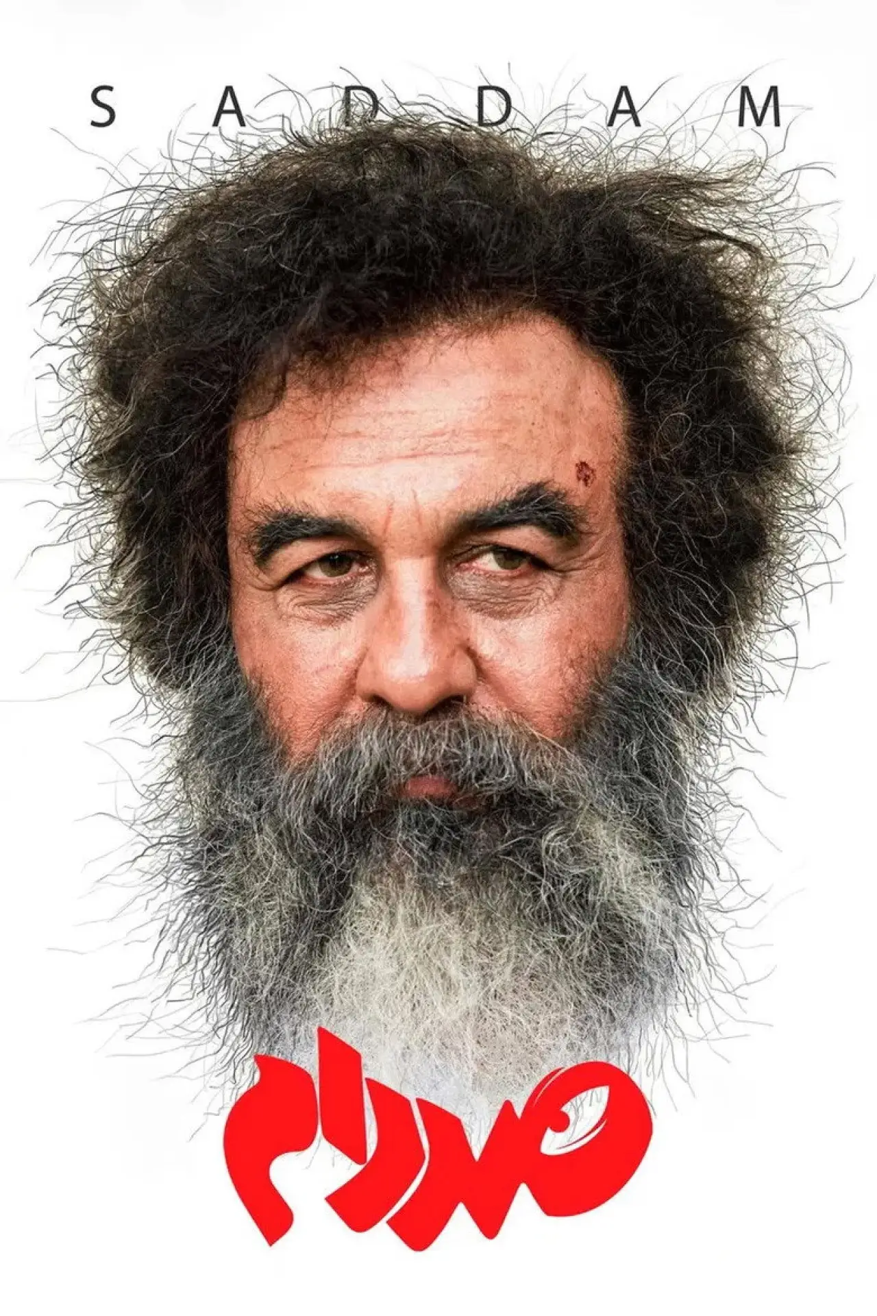 Plakat serialu "Saddam"