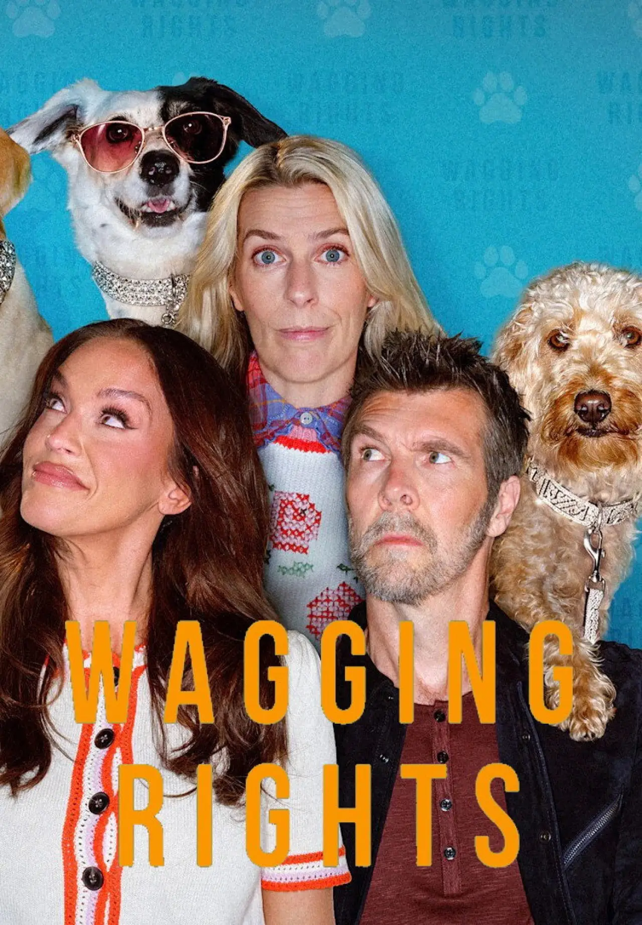 Plakat serialu "Wagging Rights"