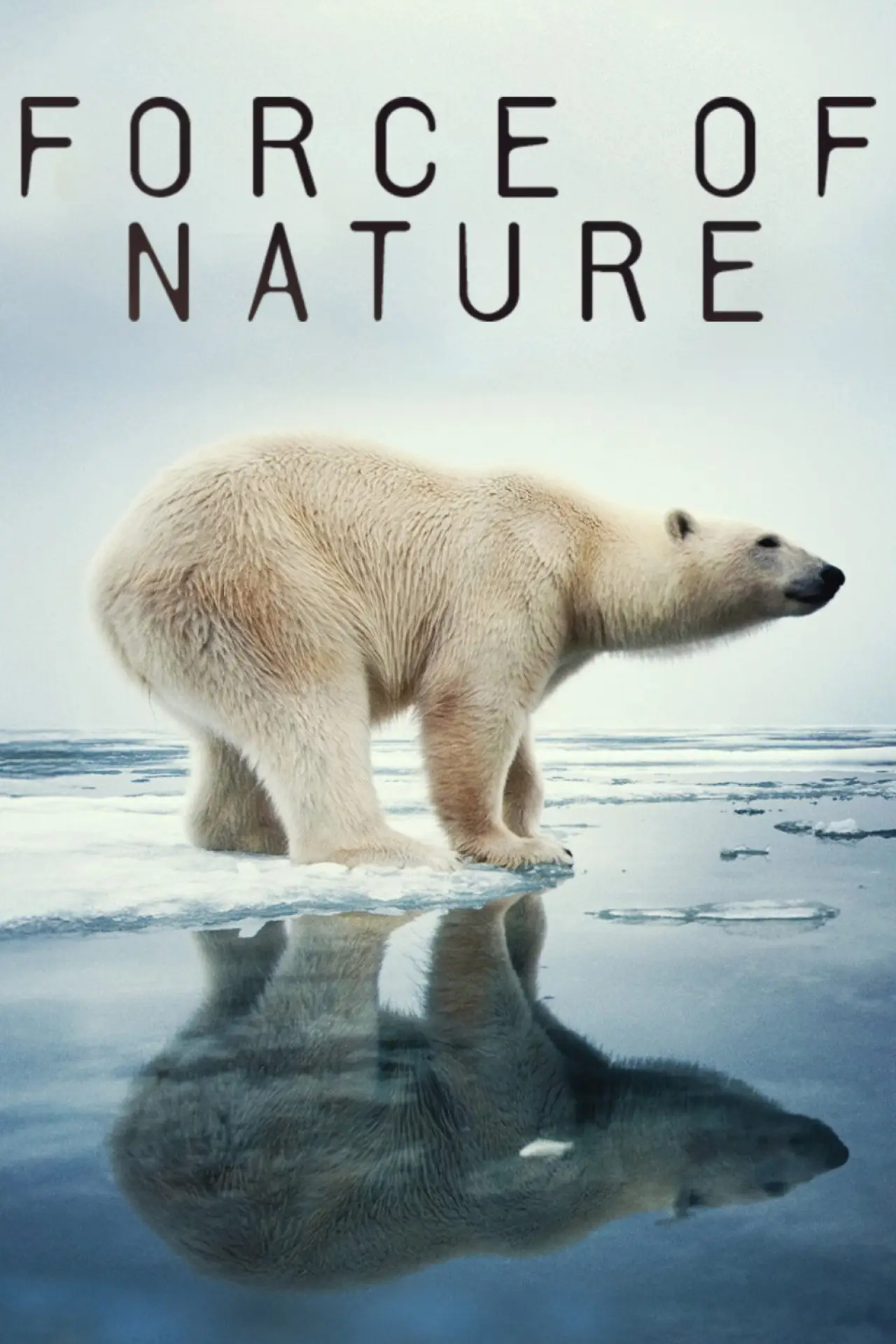 Plakat serialu "Force of Nature"