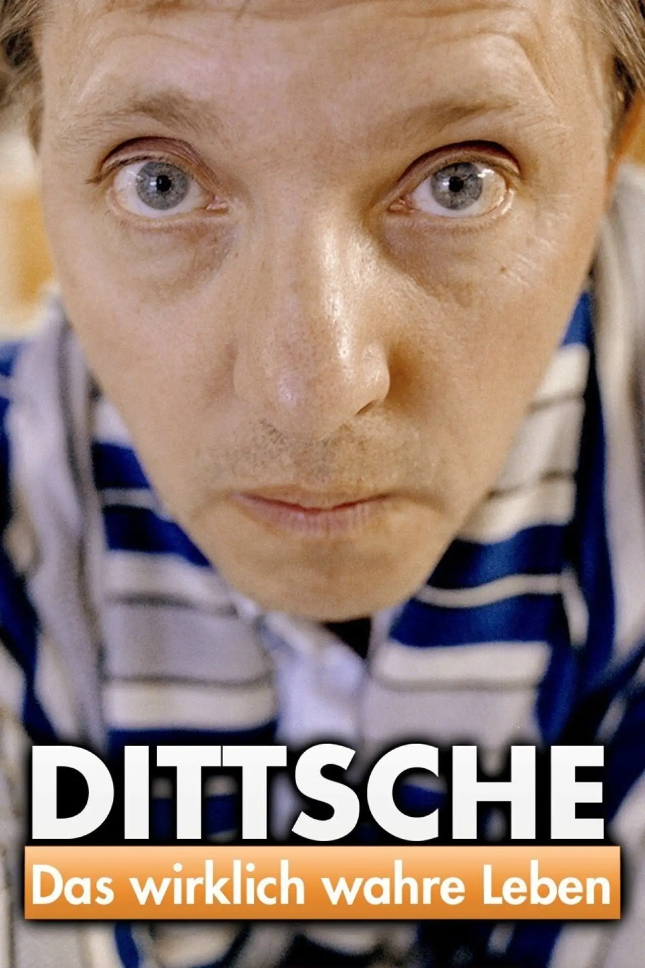 Plakat serialu "Dittsche - Das wirklich wahre Leben"