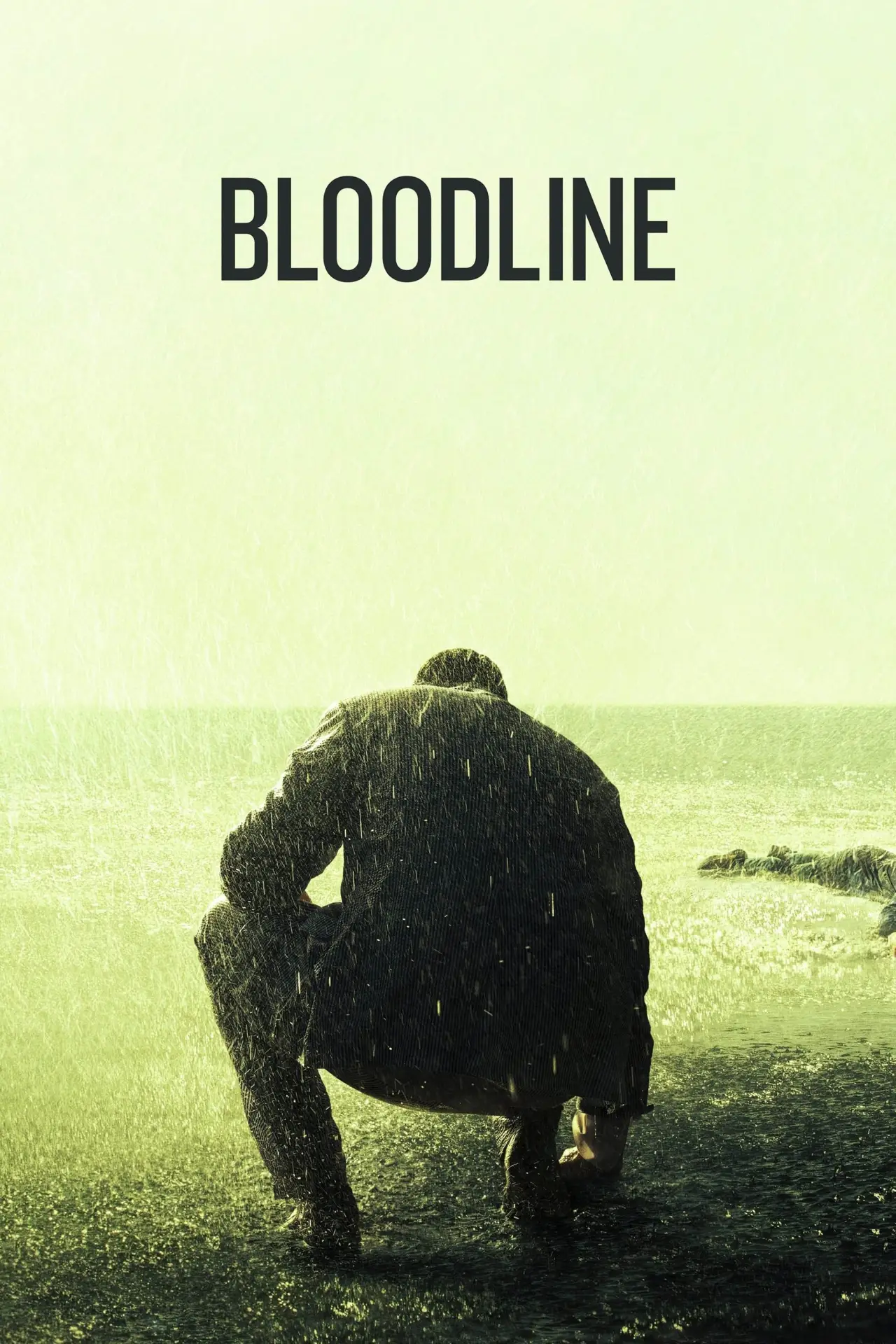 Постер к сериалу "Bloodline"