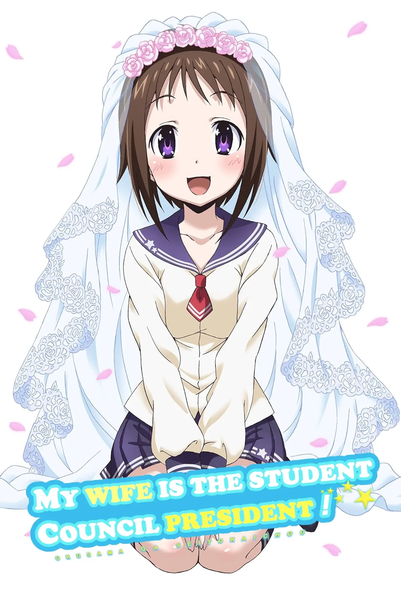 Постер к сериалу "Okusama ga Seitokaichou!"