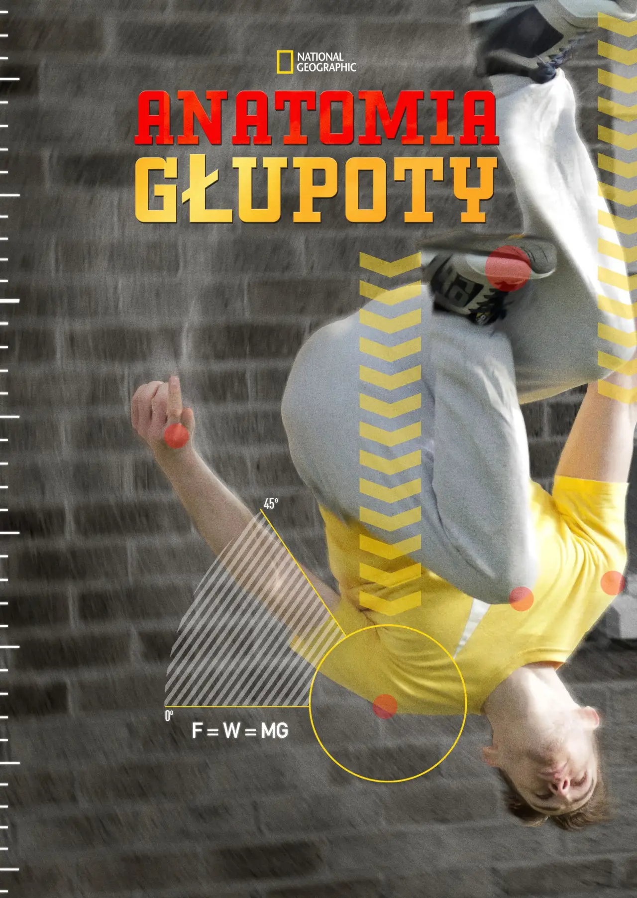 Постер к сериалу "Anatomia głupoty"