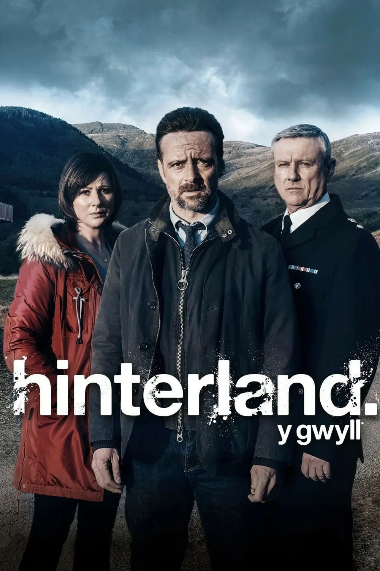 Plakat serialu "Hinterland"