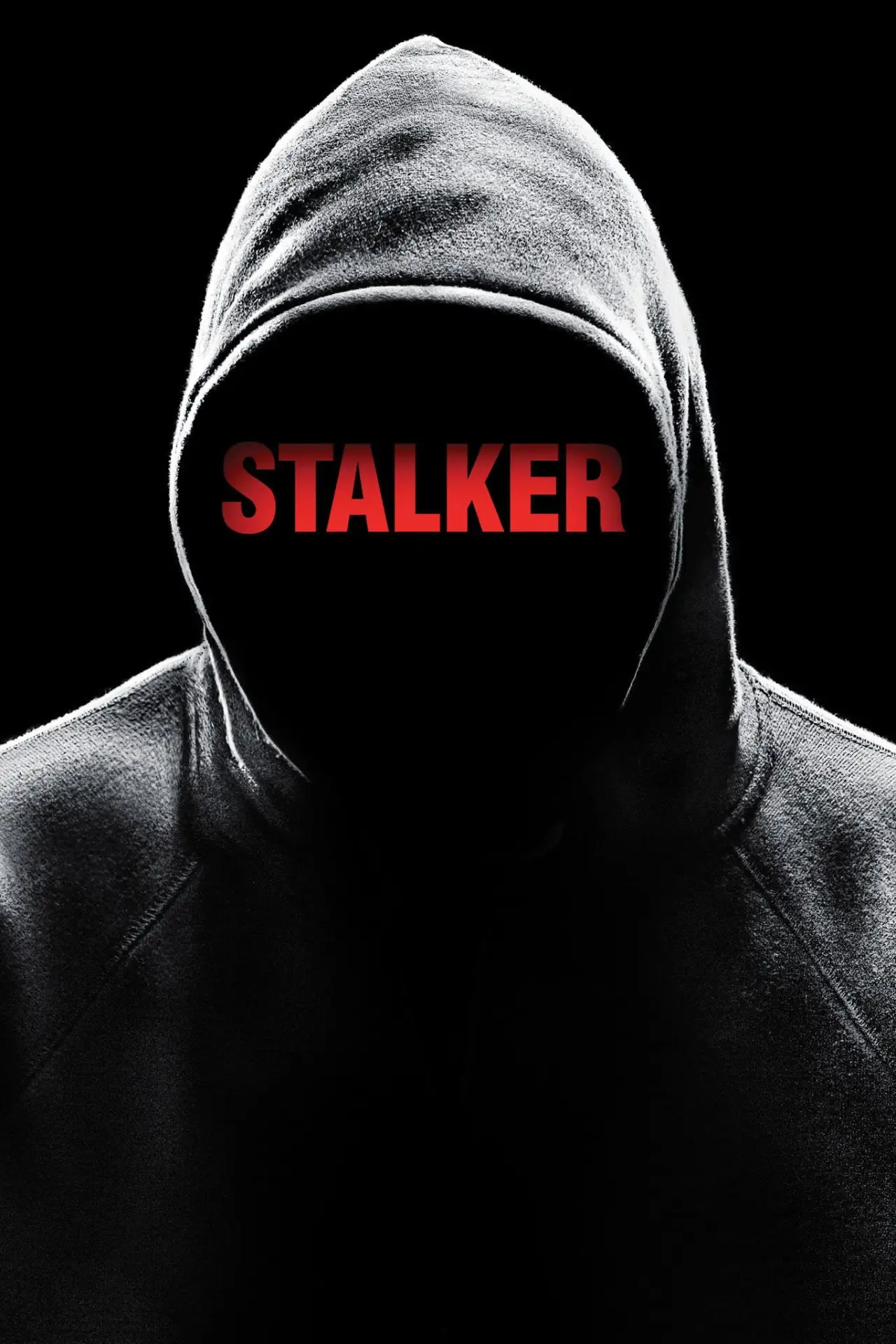 Plakat serialu "Stalker"