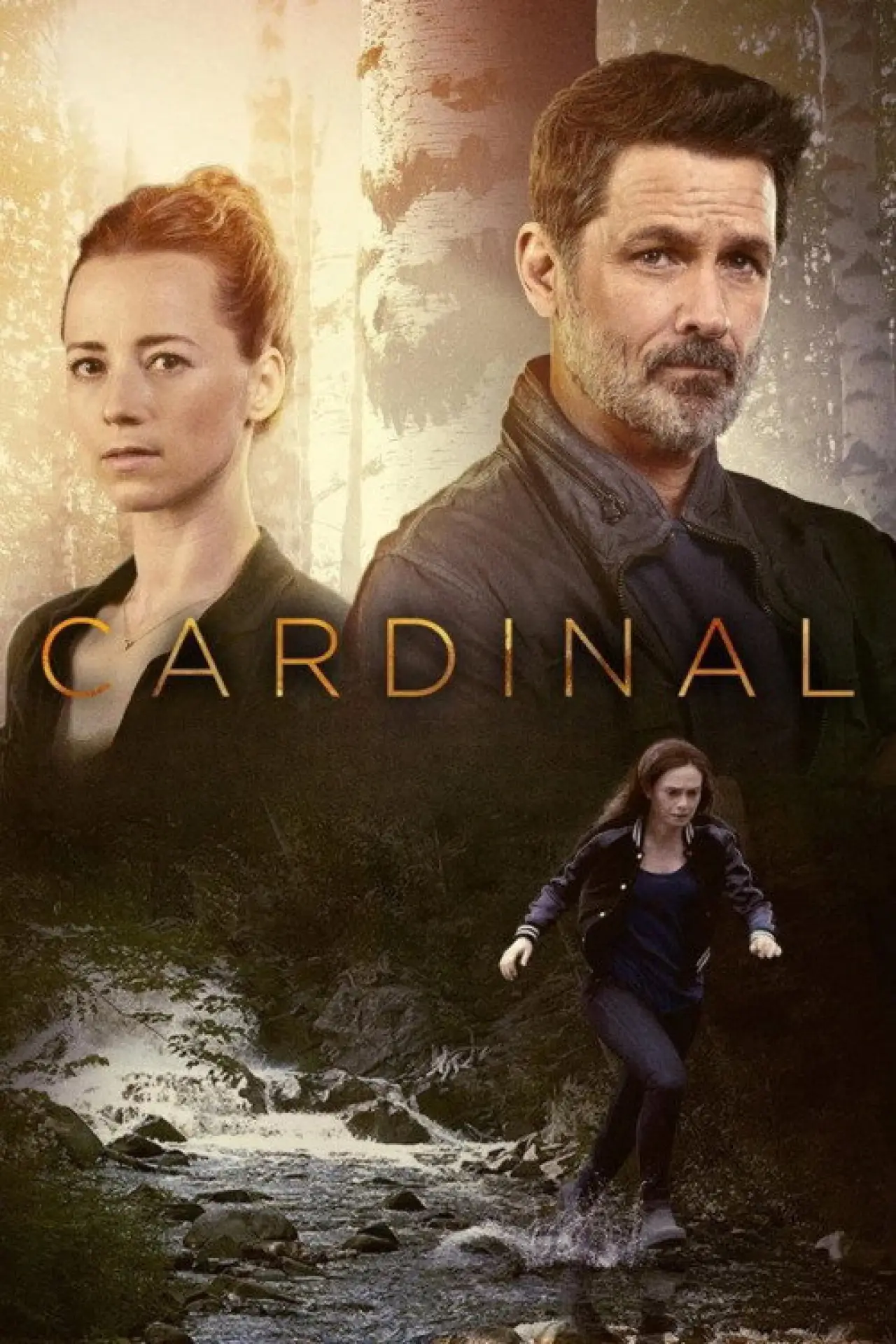 Постер к сериалу "Cardinal"