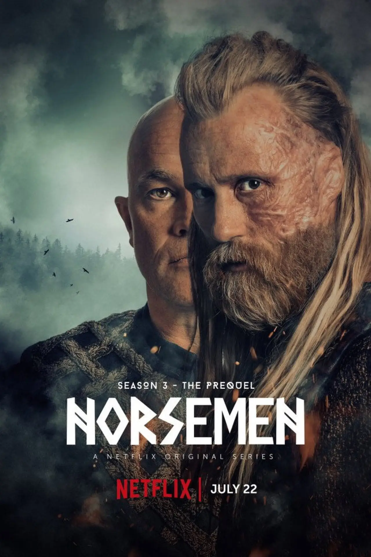 Plakat serialu "Vikingane"