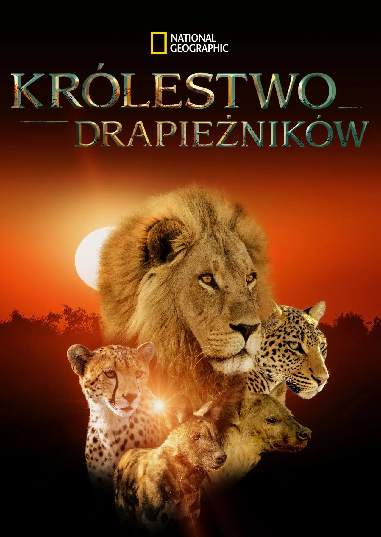 Plakat serialu "Królestwo drapieżników"