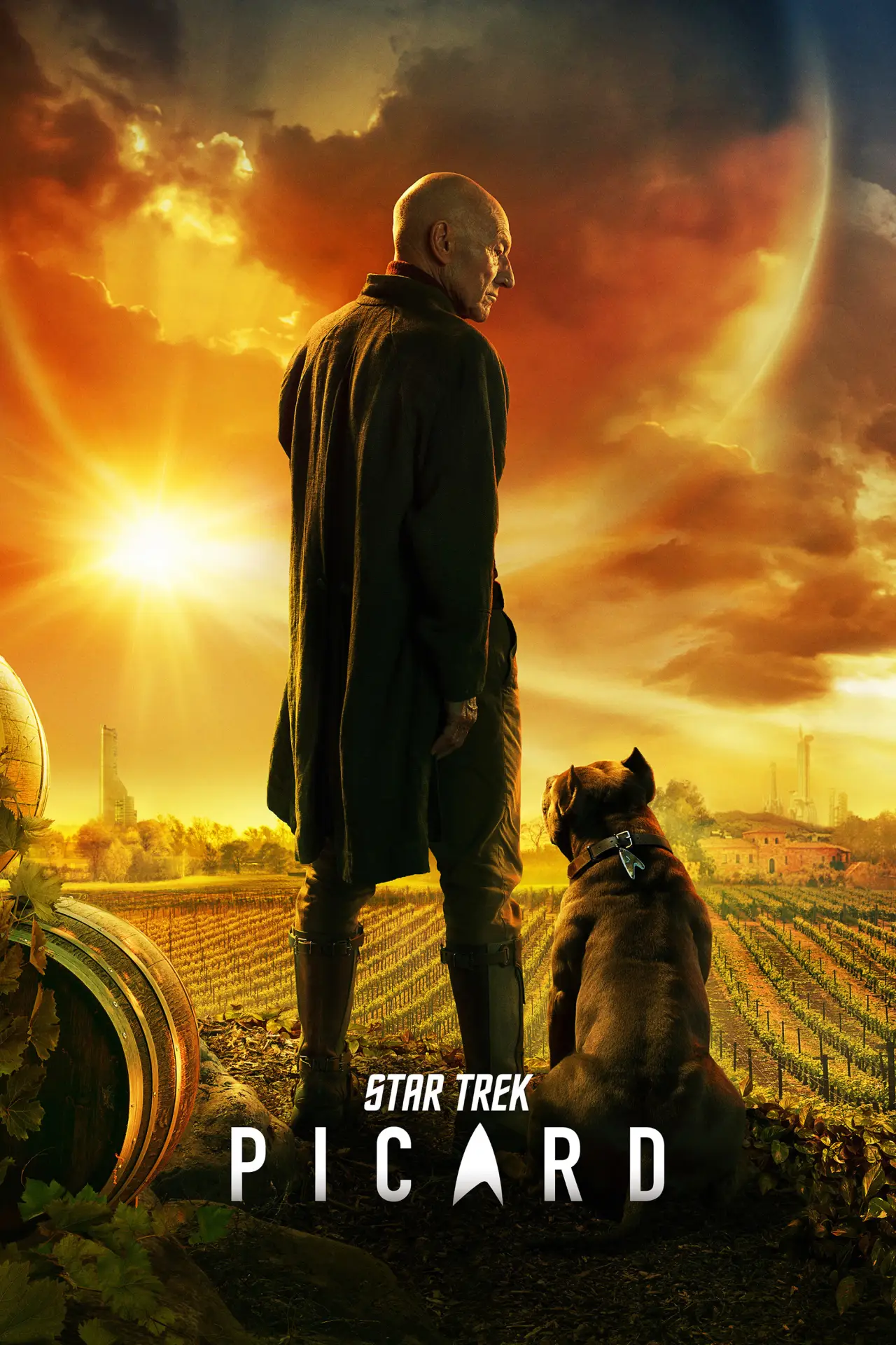 Постер к сериалу "Star Trek: Picard"