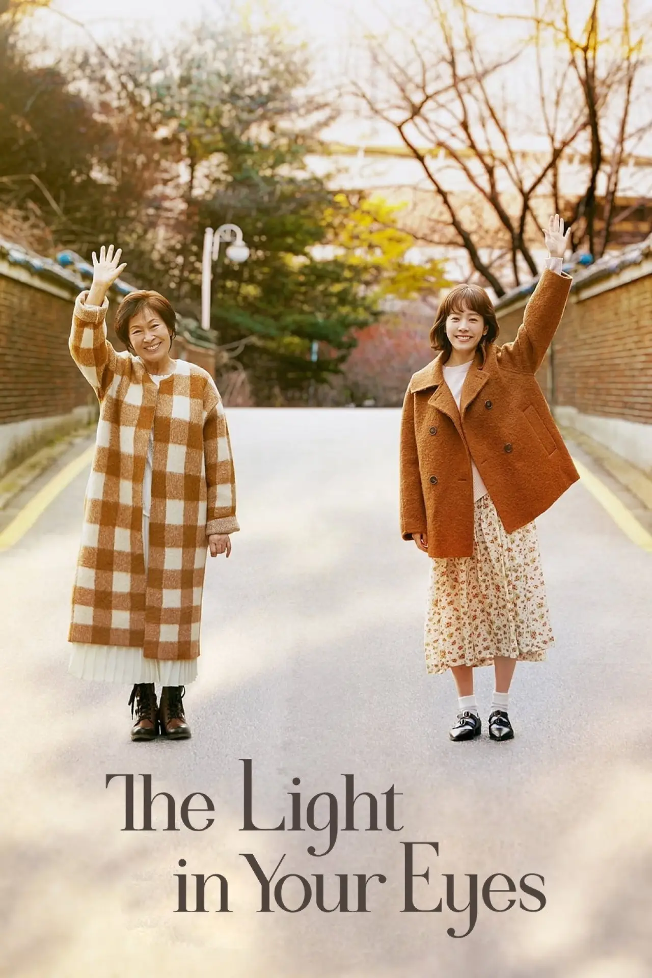 Plakat serialu "The Light in Your Eyes"