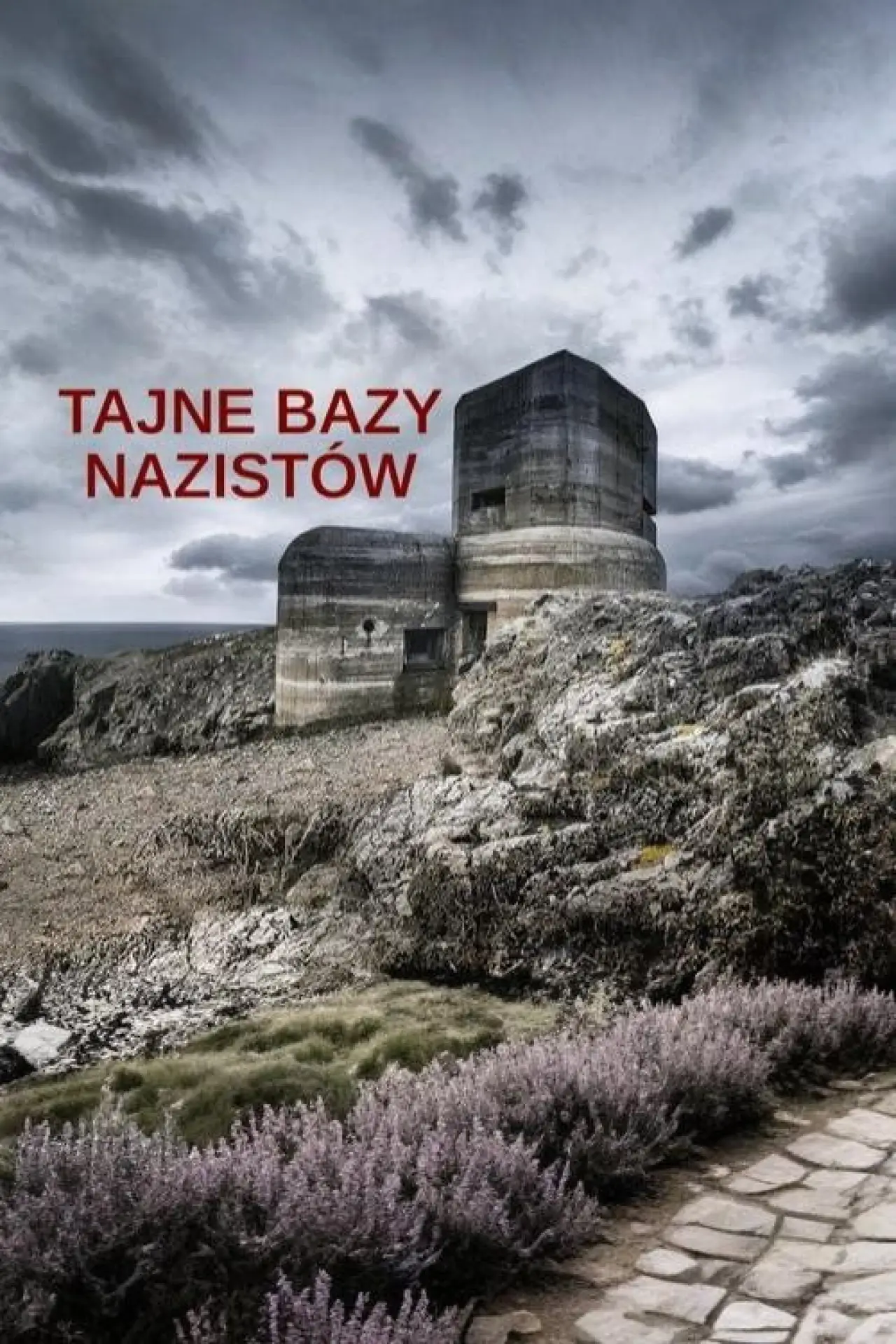Plakat serialu "Tajne bazy Nazistów"
