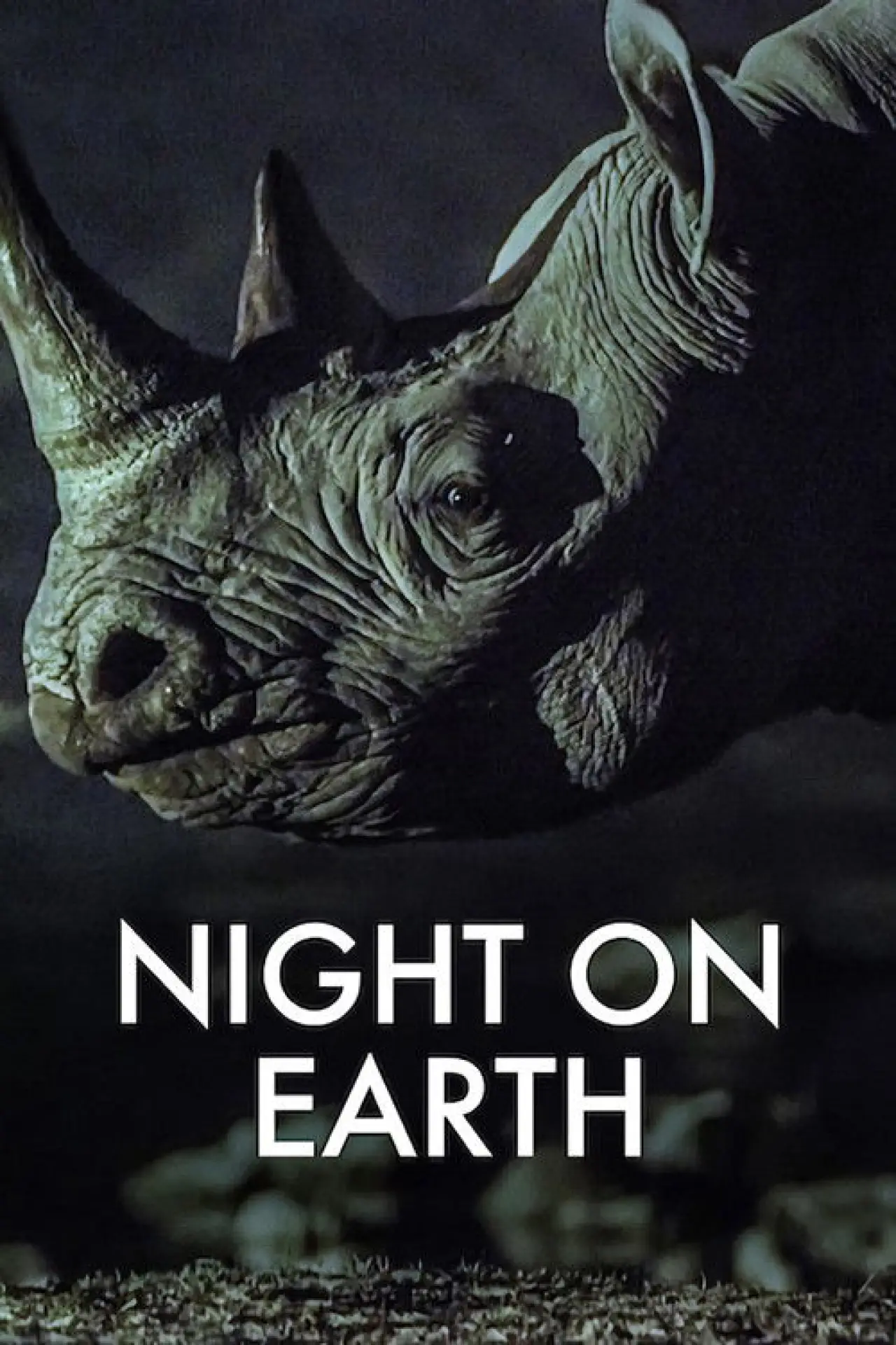 Plakat serialu "Ziemia nocą"