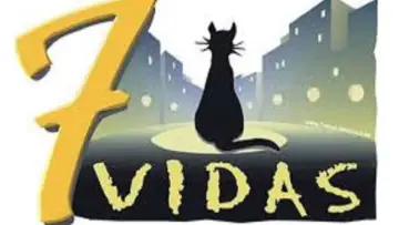 Zasłona к сериалу "7 vidas" #1388991