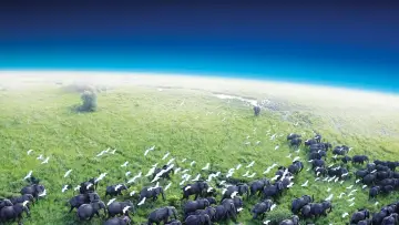 Zasłona к сериалу "Planeta Ziemia I" #1366820