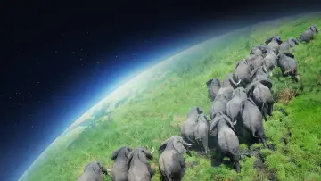 Zasłona к сериалу "Planeta Ziemia I" #1366821