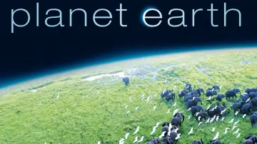 Zasłona к сериалу "Planeta Ziemia I" #1366824