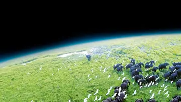 Zasłona к сериалу "Planeta Ziemia I" #1366830