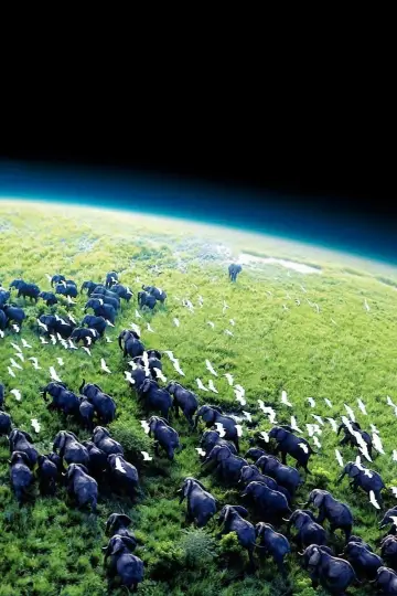 Plakat к сериалу "Planeta Ziemia I" #1366849
