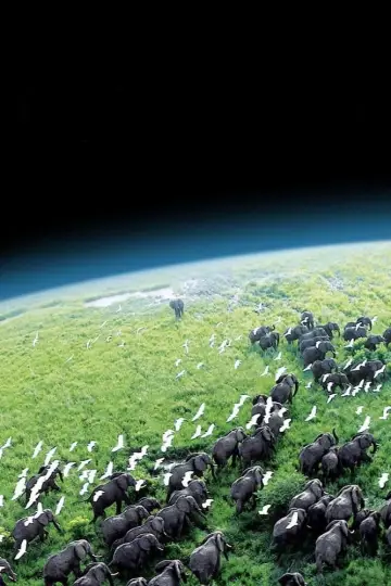 Plakat к сериалу "Planeta Ziemia I" #1366855