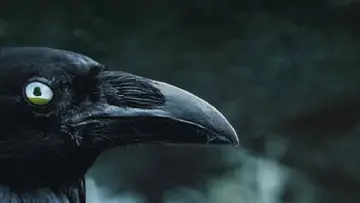 Zasłona к сериалу "Sześć stóp pod ziemią" #1299256