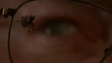 Zasłona к сериалу "Breaking Bad" #1213125