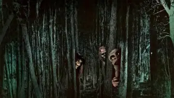 Zasłona к сериалу "Tales from the Darkside" #1338095