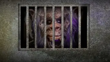 Zasłona к сериалу "Tales from the Darkside" #1338097