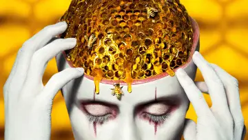 Zasłona к сериалу "American Horror Story" #1247106