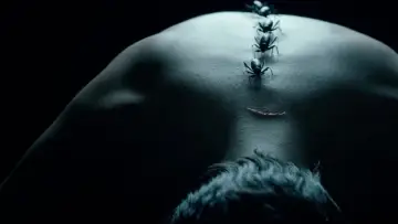 Zasłona к сериалу "American Horror Story" #1247125