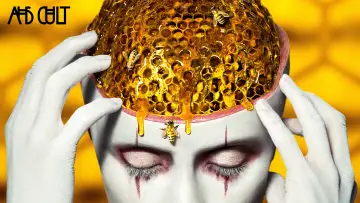 Zasłona к сериалу "American Horror Story" #1247182