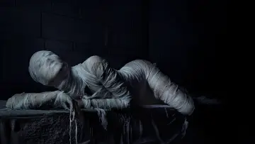 Zasłona к сериалу "American Horror Story" #1247239