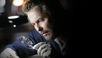 Zasłona к сериалу "CSI. Kryminalne zagadki Las Vegas" #1233202