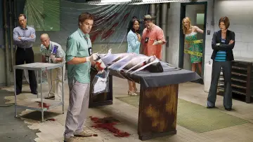 Zasłona к сериалу "Dexter" #1236258